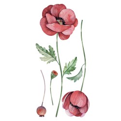 Poppies αυτοκόλλητα τοίχου βινυλίου (59180)